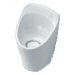 Aridian Bowl